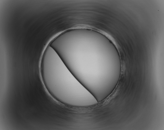 X0000098051003200803280726