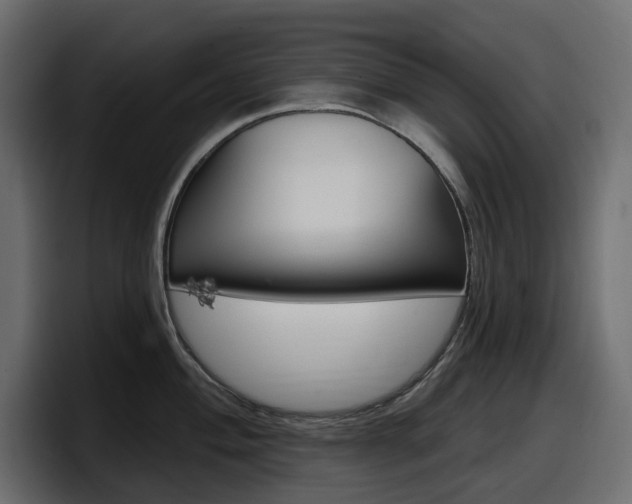 X0000098051004200803280726