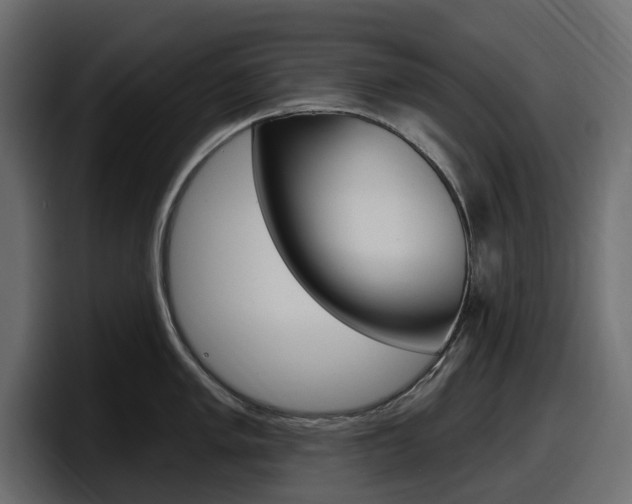 X0000098051005200803280726