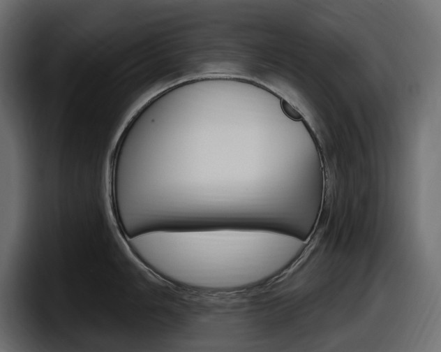 X0000098051006200803280726