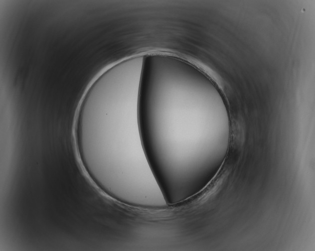 X0000098051007200803280726