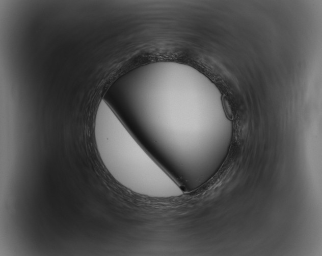 X0000098051010200803280726