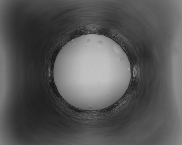 X0000098051011200803280726