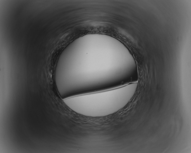 X0000098051013200803280726