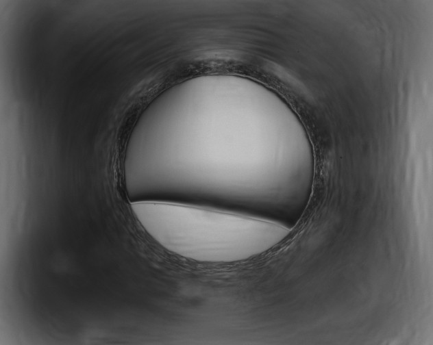 X0000098051014200803280726