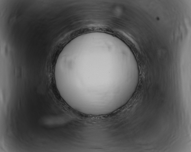 X0000098051015200803280726