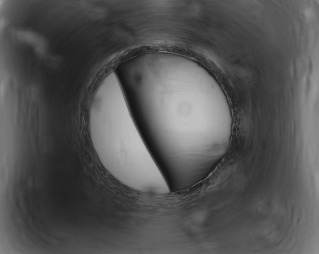 X0000098051016200803280726