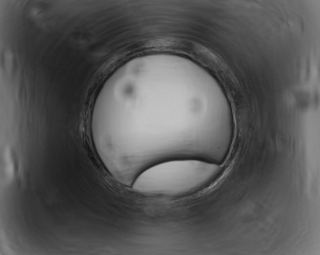 X0000098051017200803280726