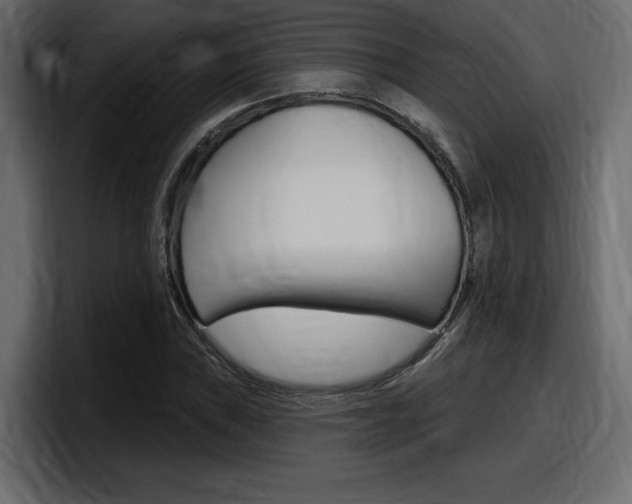 X0000098051019200803280726