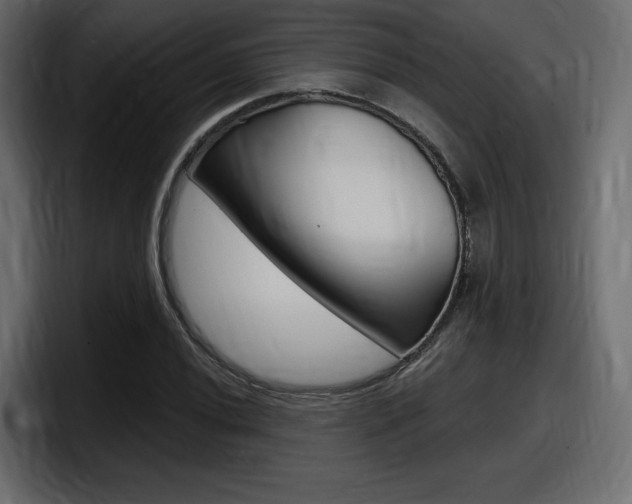X0000098051020200803280726