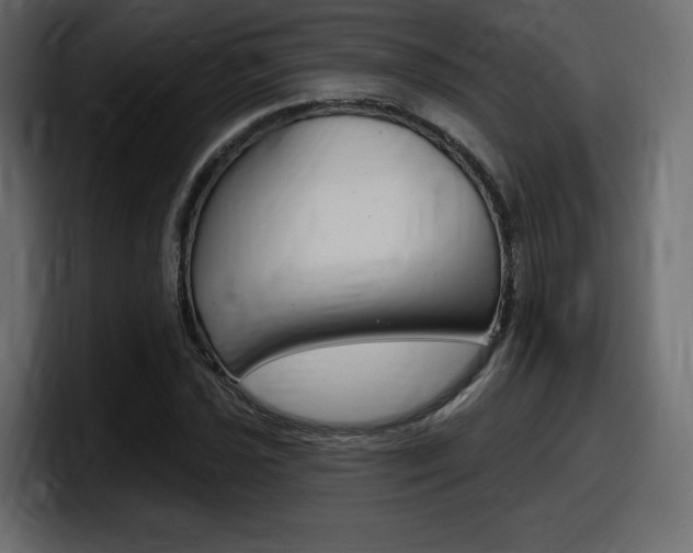 X0000098051021200803280726