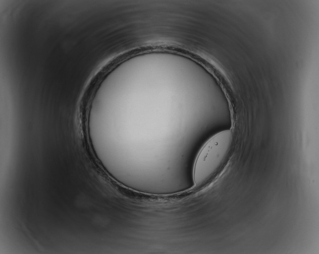 X0000098051022200803280726