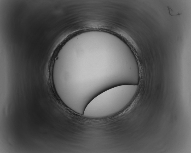X0000098051023200803280726