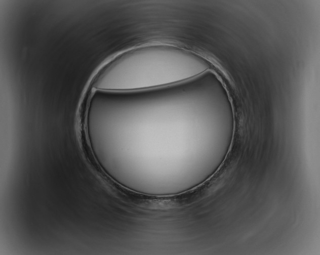 X0000098051024200803280726