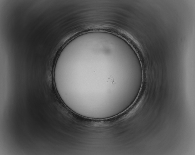 X0000098051025200803280726