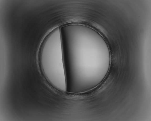 X0000098051026200803280726