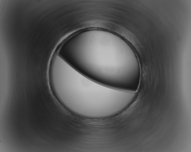 X0000098051028200803280726