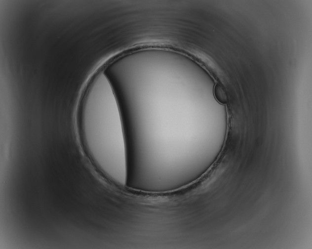 X0000098051030200803280726