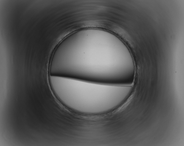 X0000098051033200803280726