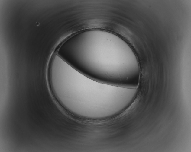 X0000098051034200803280726