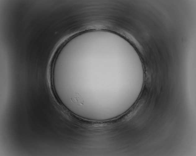 X0000098051035200803280726