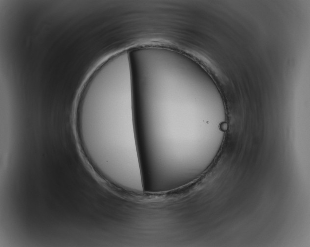 X0000098051038200803280726