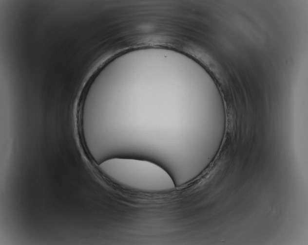 X0000098051039200803280726