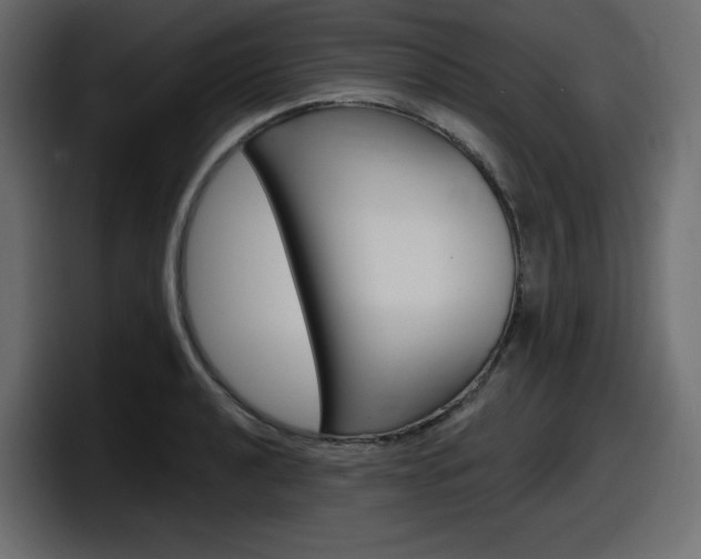 X0000098051040200803280726