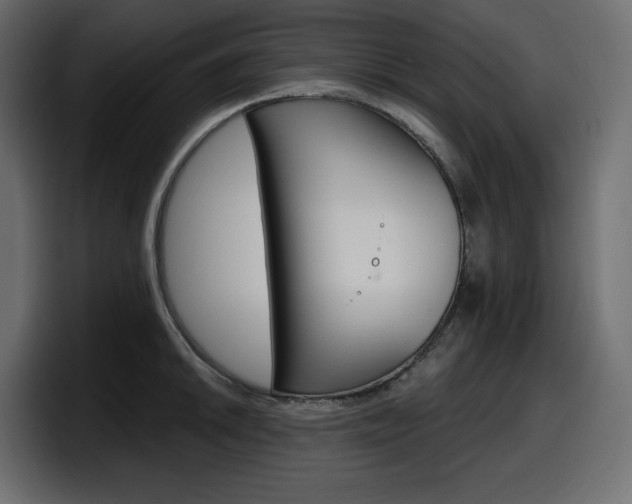 X0000098051046200803280726