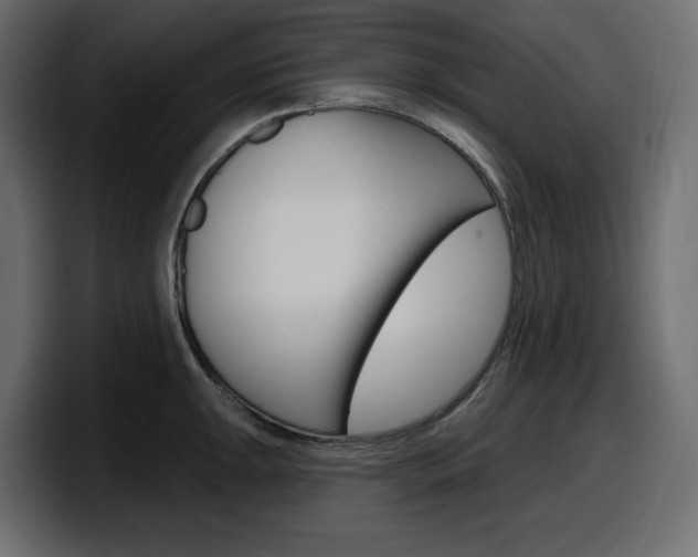 X0000098051047200803280726