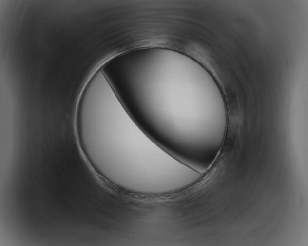 X0000098051050200803280726