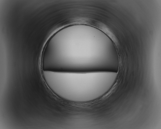 X0000098051052200803280726