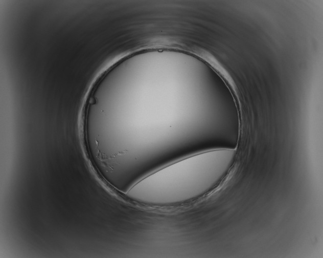 X0000098051053200803280726
