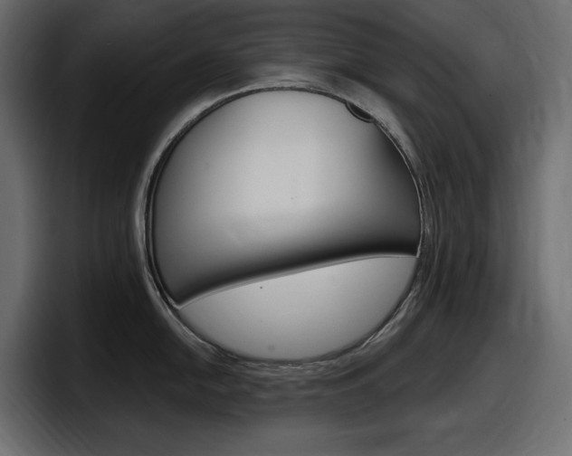 X0000098051054200803280726