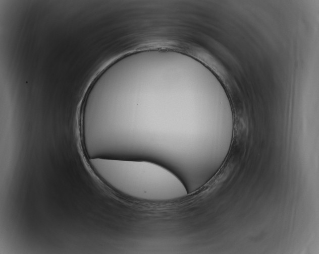 X0000098051055200803280726