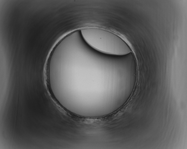 X0000098051056200803280726