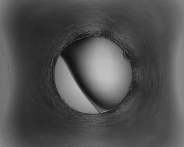 X0000098051057200803280726
