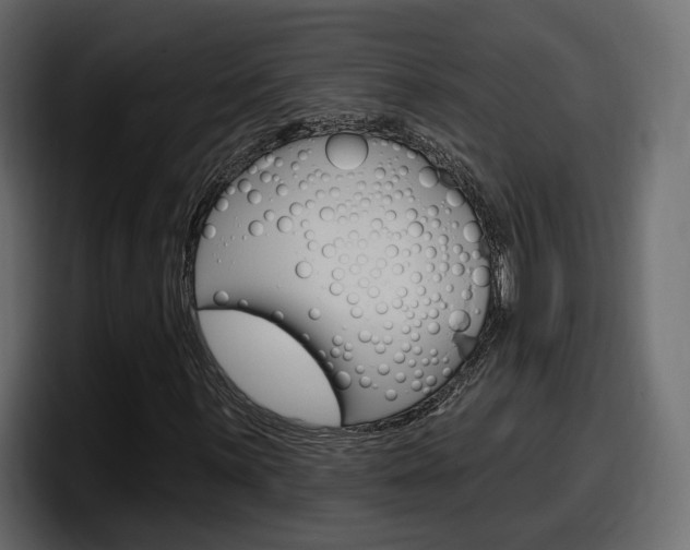 X0000098051059200803280726