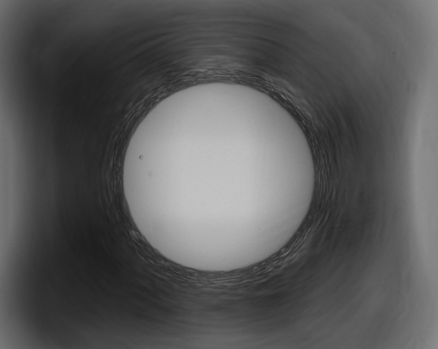 X0000098051060200803280726