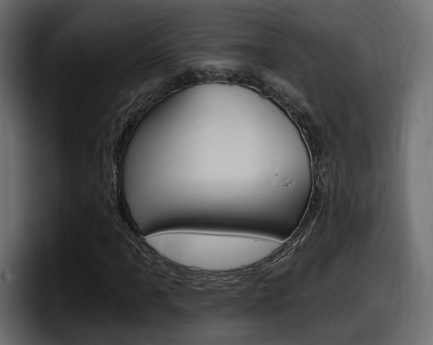 X0000098051061200803280726