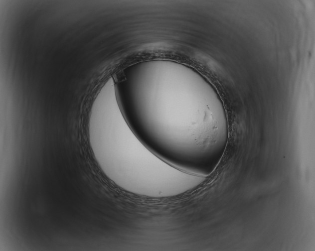 X0000098051062200803280726