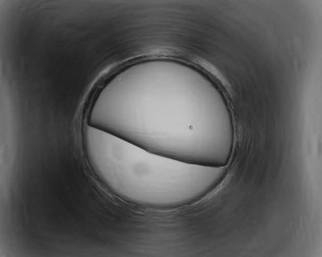 X0000098051067200803280725