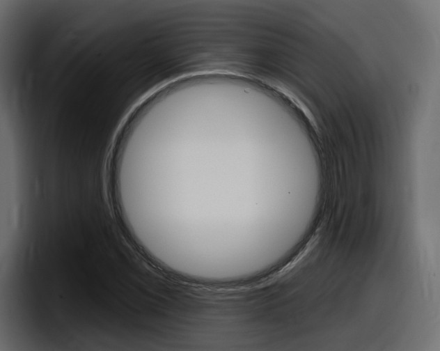 X0000098051069200803280725