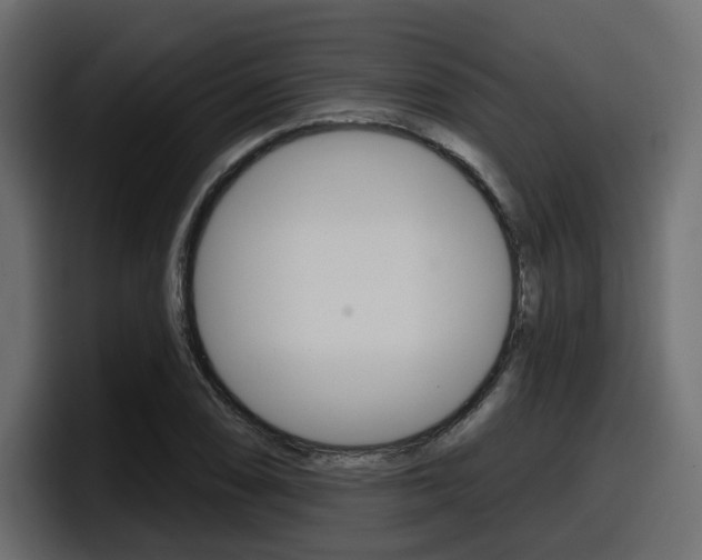 X0000098051074200803280725