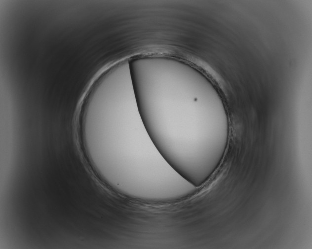 X0000098051075200803280725
