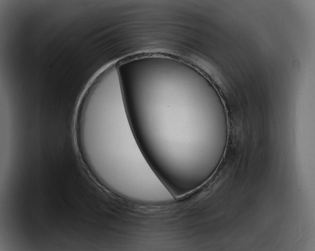 X0000098051076200803280725