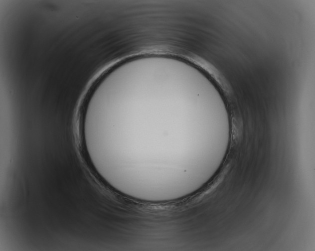 X0000098051078200803280725