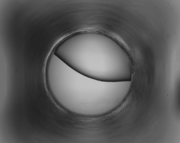 X0000098051079200803280725