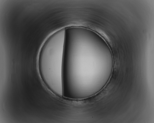 X0000098051080200803280725
