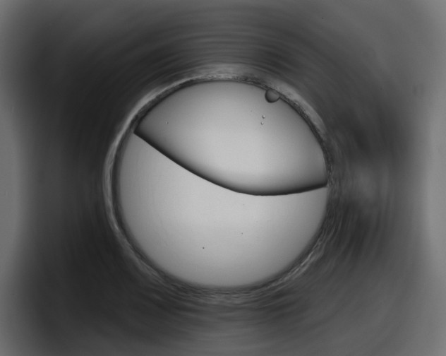 X0000098051083200803280725